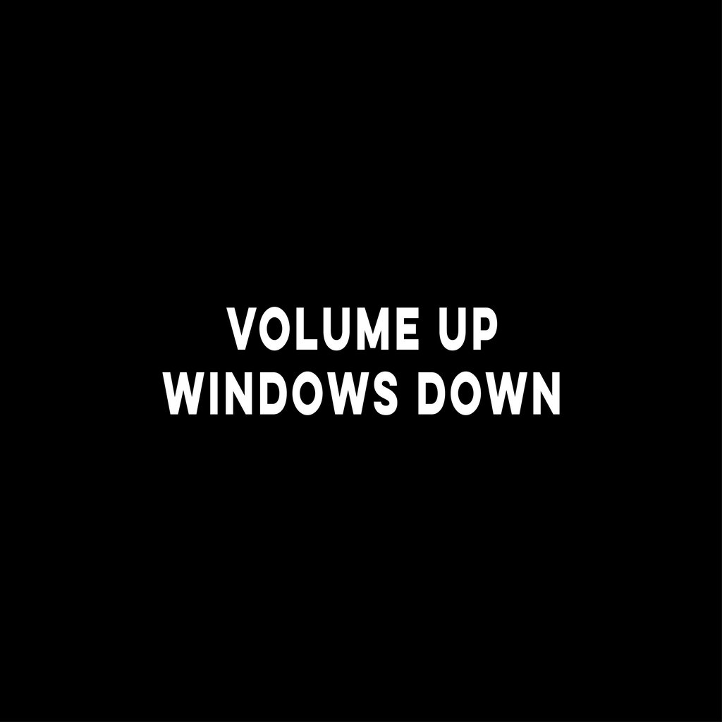 Volume Up Windows Down - Wing Mirror Sticker