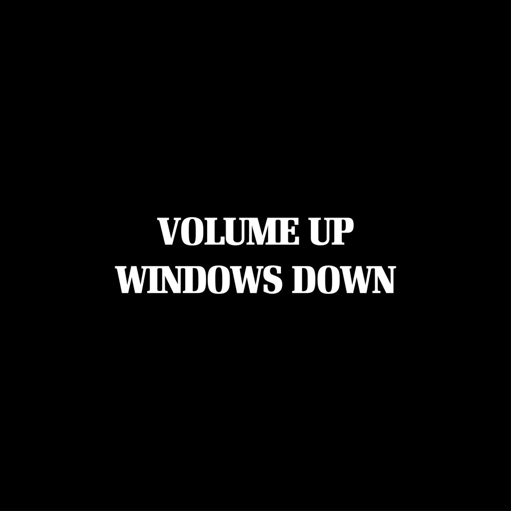 Volume Up Windows Down - Wing Mirror Sticker