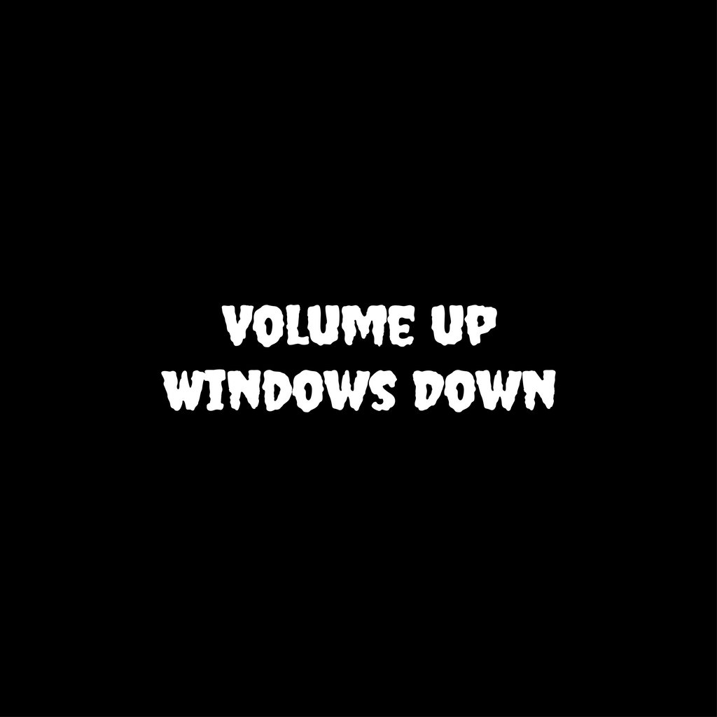 Volume Up Windows Down - Wing Mirror Sticker